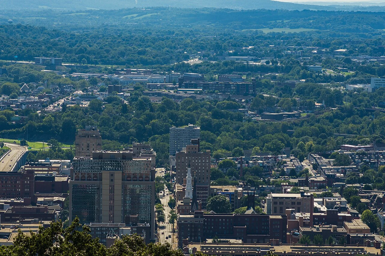 Reading's downtown skyline and green surrounding hills, viewed from the Pagoda.